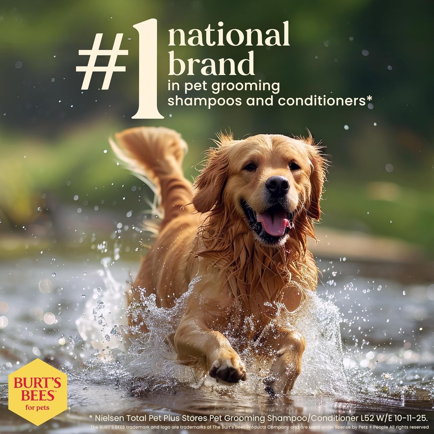 Burt'S Bees for Dogs Natural Waterless Shampoo Spray for Dogs, Apple and Honey Waterless Shampoo Spray, Dogs Shampoo, Dog Bathing Supplies, Dog Wash, Dog Grooming Supplies, Dog Spray