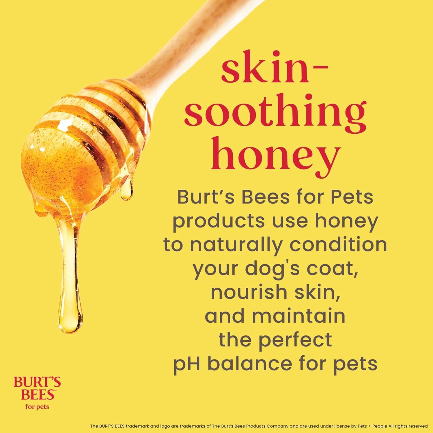 Burt'S Bees for Dogs Natural Waterless Shampoo Spray for Dogs, Apple and Honey Waterless Shampoo Spray, Dogs Shampoo, Dog Bathing Supplies, Dog Wash, Dog Grooming Supplies, Dog Spray