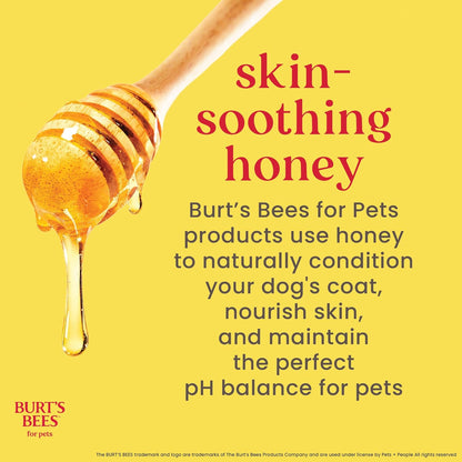 Burt'S Bees for Dogs Natural Waterless Shampoo Spray for Dogs, Apple and Honey Waterless Shampoo Spray, Dogs Shampoo, Dog Bathing Supplies, Dog Wash, Dog Grooming Supplies, Dog Spray